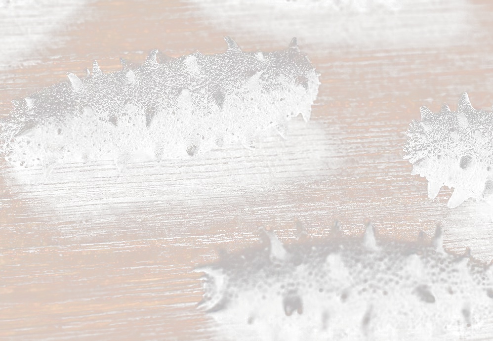 北京小程序開發(fā)，海參電商小程序開發(fā)該如何運(yùn)營？