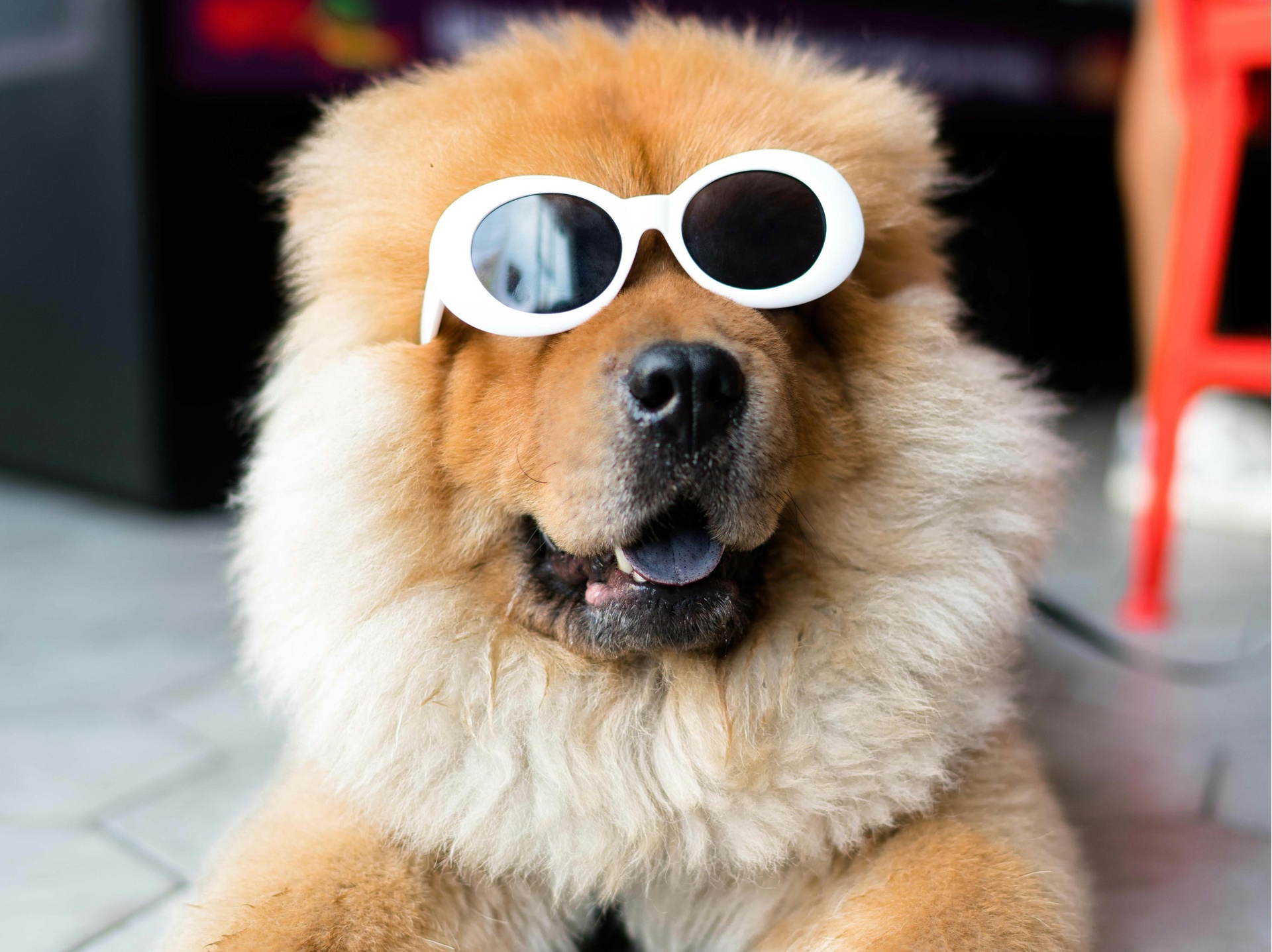 北京娛樂(lè)搞笑類App開(kāi)發(fā)，開(kāi)啟歡樂(lè)新引擎