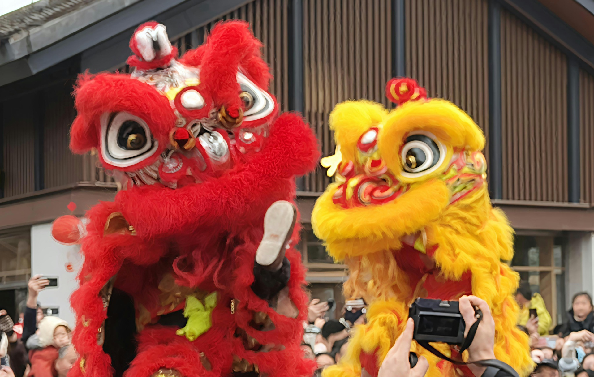 保定非遺文化信息資訊平臺App開發(fā)的功能介紹